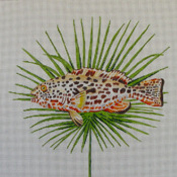 AN121 Colors of Praise  13 Mesh Canvas Spotted Fish on Palm