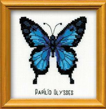 RLHB95 Riolis Ulysses Butterfly - Happy Bee