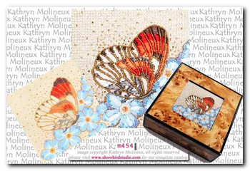 M-454 Box Top: Satsuma Butterfly 5 x 5 18 Mesh Shorebird Studio