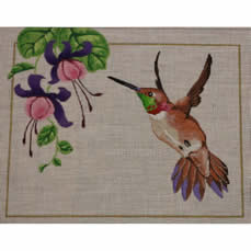 M-397 Rufous Hummingbird 10 x  8 18 Mesh Shorebird Studio