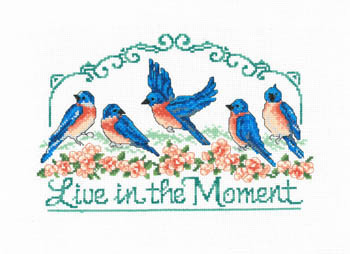 Live In The Moment 149w x 96h Imaginating 19-2226 YT