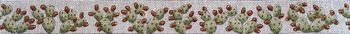B529 Prickly Pear Cactus 18 Mesh Belt Jane Nichols Needlepoint