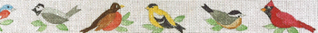 B579 Song Birds 18 Mesh Belt Jane Nichols Needlepoint