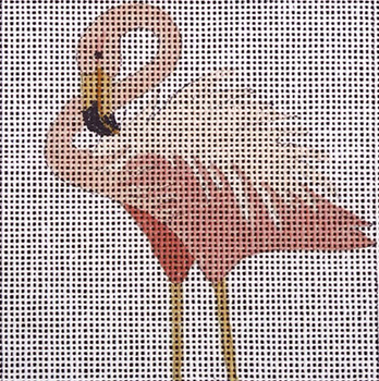 C135 Looped Neck 4 x 4 18 Mesh Flamingo Jane Nichols Needlepoint