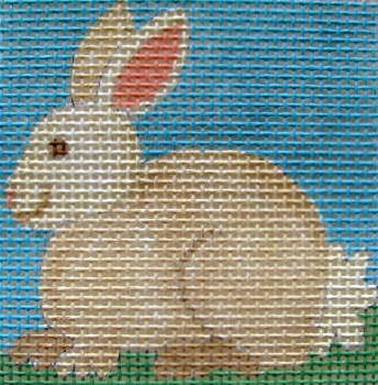 K4 Rabbit 4 x 4  10 Mesh Kid & Beginner Jane Nichols Needlepoint