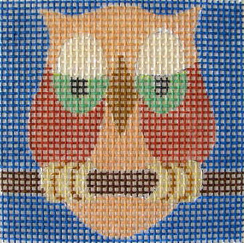 K8 Owl 4 x 4  10 Mesh Kid & Beginner Jane Nichols Needlepoint