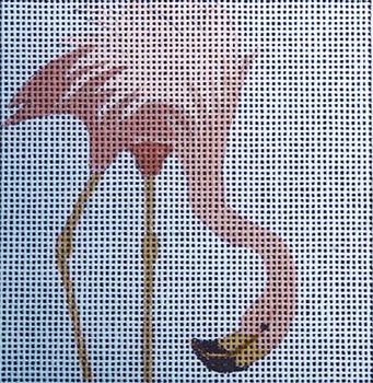 130 Shrimping	5 x 5	13 Mesh Flamingo Jane Nichols Needlepoint