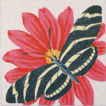 171 Zebra Butterfly on Red 7 x 7 13 Mesh Jane Nichols Needlepoint
