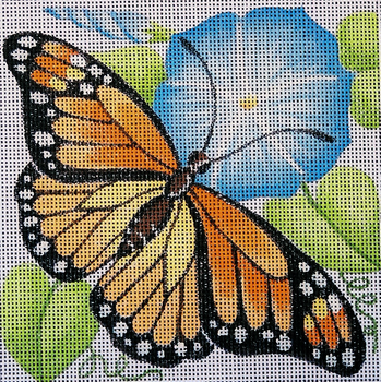 173 Monarch / Morning Glory 7 x 7 13 Mesh Jane Nichols Needlepoint