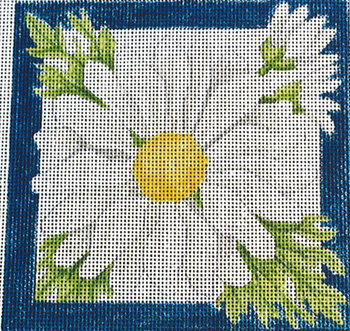 326L Daisy Square 14 x 14 13 Mesh Jane Nichols Needlepoint