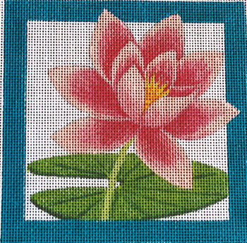 323S Water Lily Square 5 x 5 18 Mesh Jane Nichols Needlepoint