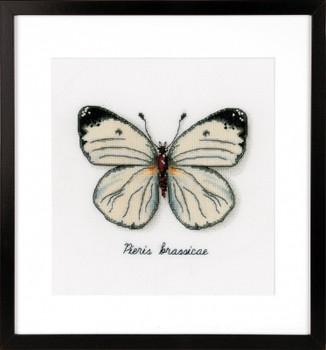 PNV165233 Vervaco Kit White Butterfly