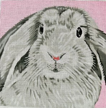 C-450bb B Floppy Ear Bunny on Pink 13 x 13 13 Mesh Meredith Collection