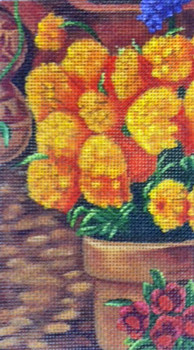 YL-017 Yolanda Sundance Designs Marigold 18 Mesh 5 x 7 