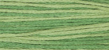 6-Strand Cotton Floss Weeks Dye Works 2198 Ivy