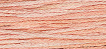 6-Strand Cotton Floss Weeks Dye Works 2278