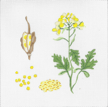 ED-17098 Botanical Spice Tile - Mustard 18g,6"x6" DeDe's Needleworks