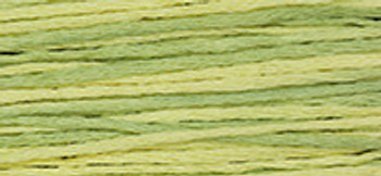 6-Strand Cotton Floss Weeks Dye Works 2210 Citronella