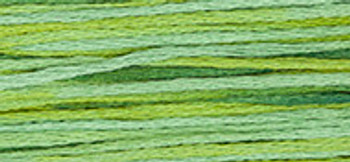 6-Strand Cotton Floss Weeks Dye Works 4111 Lucky