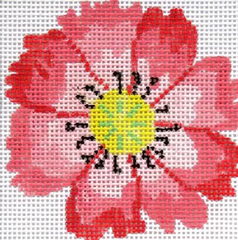53a4 Coral Jean Smith Designs Dazzle Flower Coaster 4" Square 13 mesh