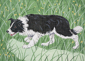 quince tree border collies