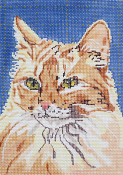 BR260 Orange Cream Cat 5" x 7" 18 Mesh Barbara Russell SKU 800