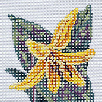 BR345L Wildflower Coaster Trout Lily 4” x 4” 18 Mesh Barbara Russell SKU 8501