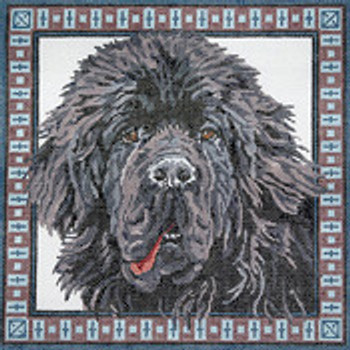 BR400 Newfoundland 12” x 12” 13 Mesh Barbara Russell SKU 53849