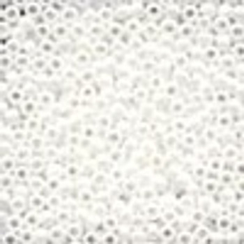 #00479 Mill Hill Seed Beads White