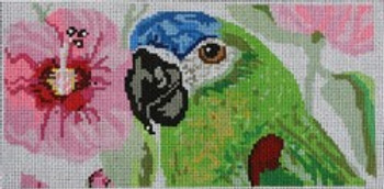 122-18 Parrot Insert 7.5x4 18 Mesh Pajamas and Chocolate