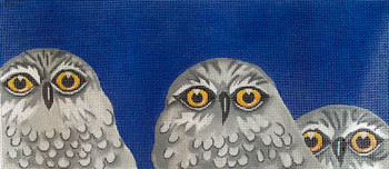 PDG-037 The Point Of It All Snow Owls 10 x 14 13 Mesh 