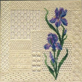G-403 Iris Lace Stitch Sampler 12 Mesh 14 x 14 Treglown Designs