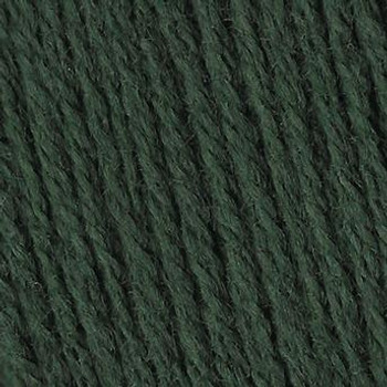 CP1660-4 Persian Yarn -Pine Green Colonial Persian Yarn