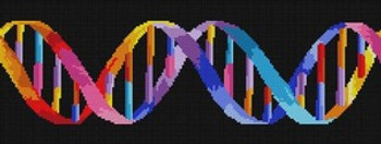 G-748 Colorful DNA Pattern 13 Mesh 16 x 6 Treglown Designs