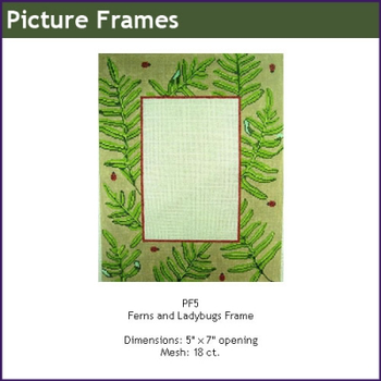 GEPF5B Ferns/ladybugs  Frame 5" x 7" opening 11 x 9 13 Mesh Gayla Elliott