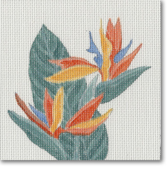 R-PC 1021 Bird of Pardise 18 Mesh 5" x 5" Needlepoint Boutique Designs 