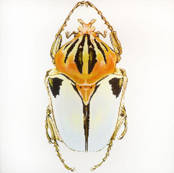 C-591g Big Bug - White and Gold 16x16 13 Mesh Meredith Collection