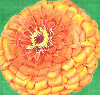 C-594b Quince Zinnia/Green Background 11x11 18 Mesh Meredith Collection