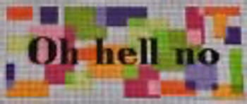 G117O-13 Mod Words "Oh Hell No" 13 count 5.5 x 11 EyeCandy Needleart