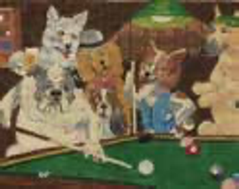 GS237 Top Dog Pool Player MAGIC NEEDLE, INC. 