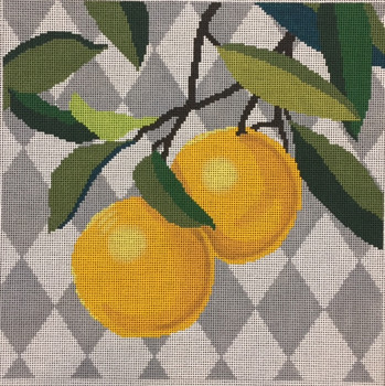 ASIT039	Oranges	12 X 12 13 Mesh A Stitch In Time