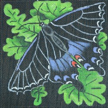 R37 Black and Blue Butterfly 5 x 5  18 Mesh Robbyn's Nest Designs