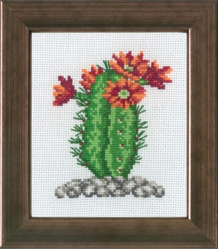 137443 Cactus with Orange Kit Permin