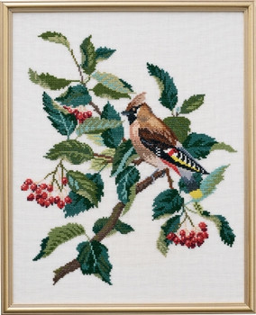 7712551 Eva Rosenstand Kit Waxwing