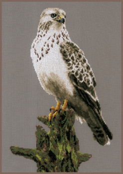 PN172743 Lanarte Kit Falcon