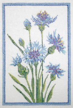 KCN401-18 Germany CornFlower  4"W x 6"H 18 Mesh  With Stitch Guide Kelly Clark Needlepoint