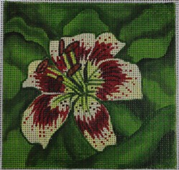 R112 Red and Cream Tiger Lily 5 x 5	18 Mesh Robbyn's Nest Designs