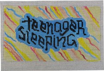 WS862 Teenager Sleeping	5.75 x 9.75	 13 Mesh WINNETKA STITCHERY DESIGNS