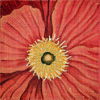 VEGETATION V025 Orange Poppy.5.5 x 5.5 13 Mesh JP Needlepoint