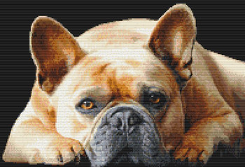 French Bulldog - Peaceful 199w x 136h DogShoppe Designs